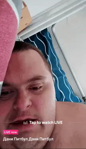 Dani Pitbul Dani Pitbul Tiktok Meme