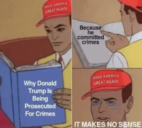 Trump Criminal Meme
