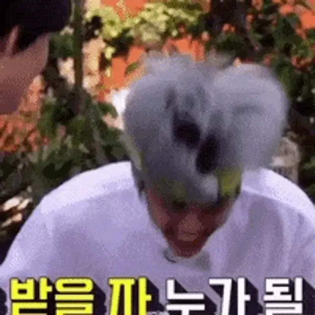 Jaemin Renjun Meme