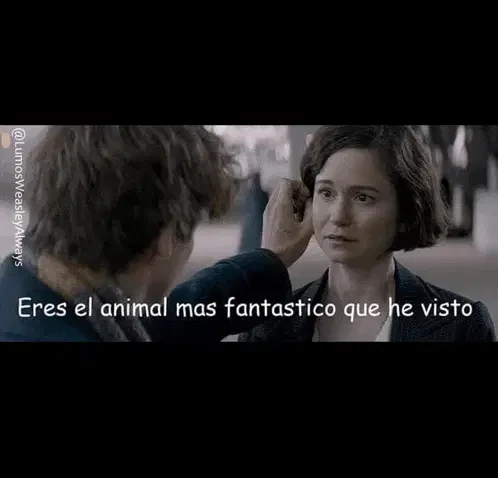 Animal Fantastico Meme