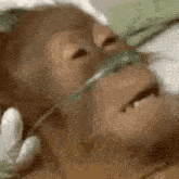 GIF caricata da Amin