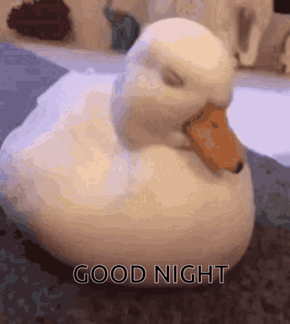Sleepy Duck Says Good Night