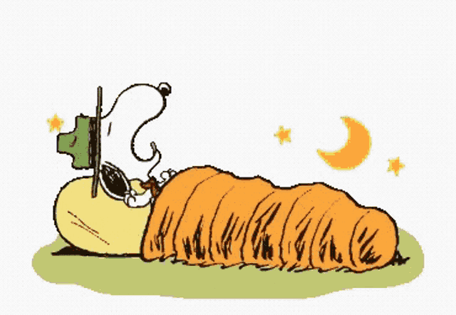 Peanuts: Snoopy's Good Night Sleep