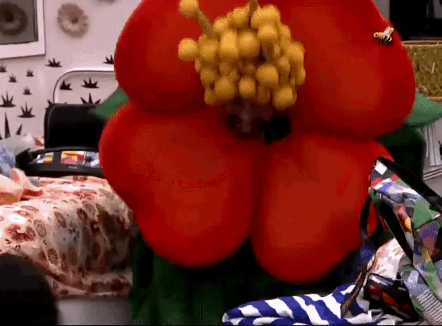 Gilberto no Jardim Nascer BBB21