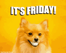 GIF uploaded by Saff