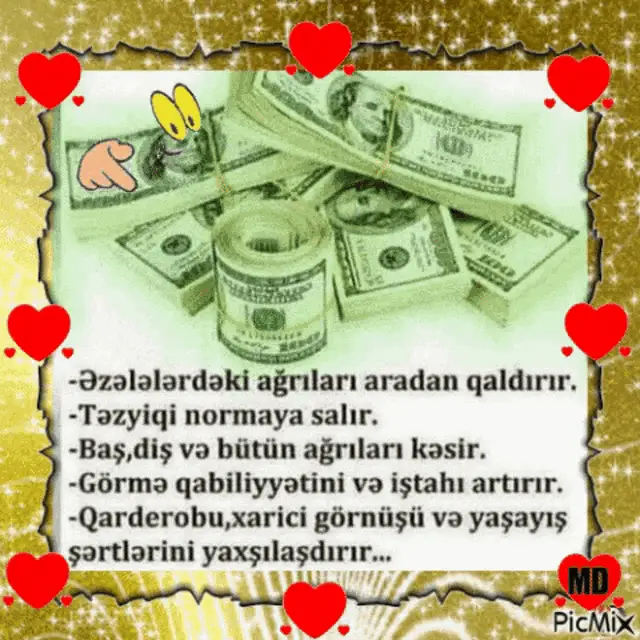 Dollar Dolar: Money Benefits