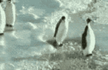 GIF uploadet af Leon Allen