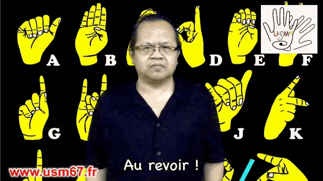 Au Revoir en Langue des Signes Française (LSF)