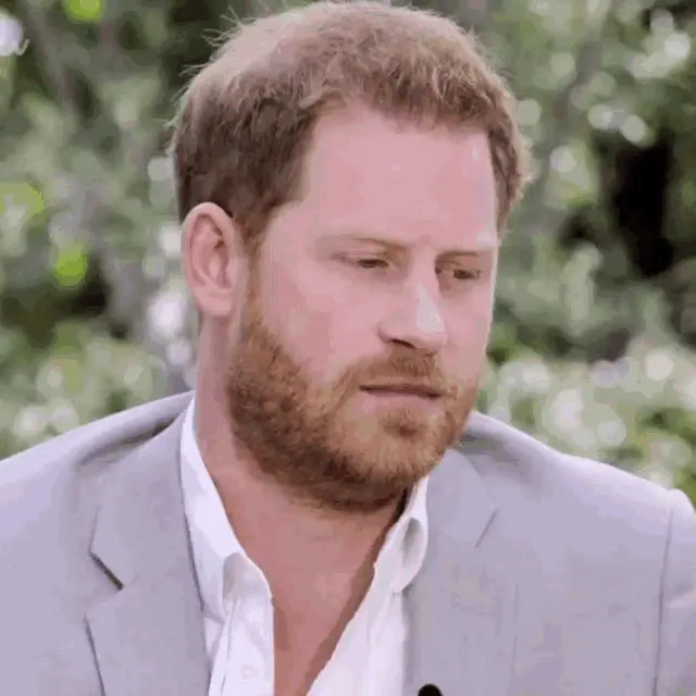 Prince Harry, Duke of Sussex in Interview