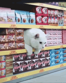 GIF
