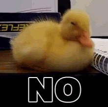 GIF da May ya loda