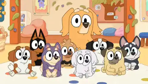 Bluey: Buddy Boop's Class