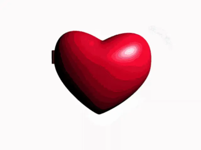 Kid José Galinhas Invasoras Heart Locket