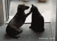 GIF објавен од Krish