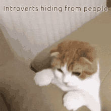 GIF uploaded by Saff