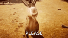 GIF uploaded by Kenny