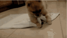 GIF uploaded by Jules