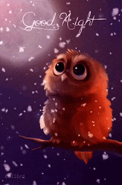 Good Night Owl Blinking – free GIF download | meme platform | memes GIF
