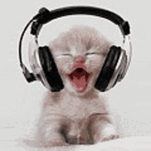GIF uploaded by jasmine