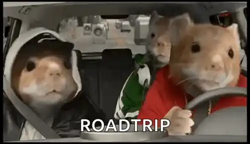 Cute Hamster Road Trip