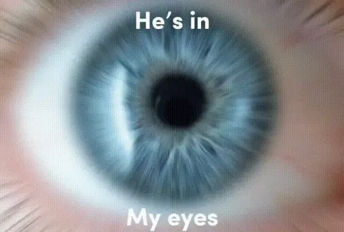 Stray Kids: He's In My Eyes, Ears, Blood, Tears