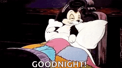 Cartoon Cat Says Goodnight and Sleeps