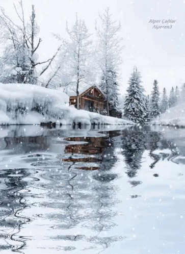 Beautiful Snowy Winter Landscape with Cabin