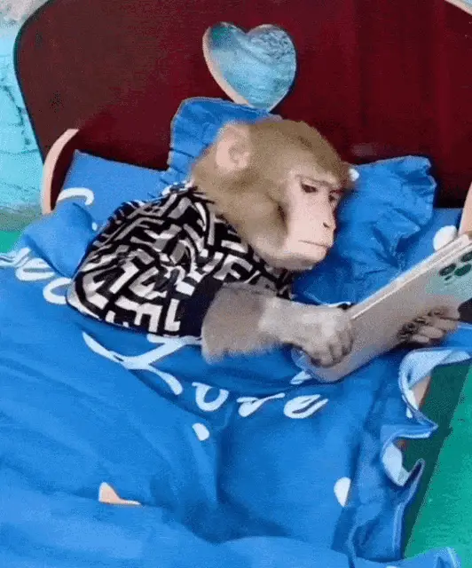 Macaco Celular