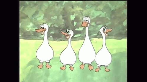 Dingo Pictures Dancing Ducks – free GIF download | meme platform | memes GIF