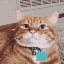 GIF 이미지