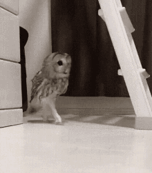 GIF อัปโหลดโดย A༗🂡🃏⏳