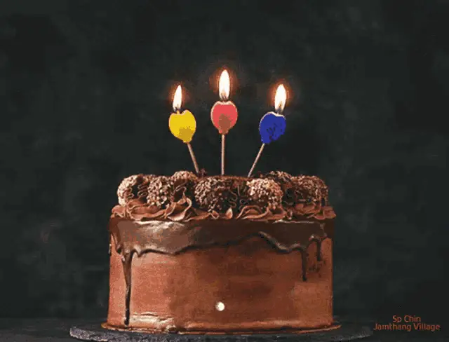 Sp Chin Birthday Cake with Candles