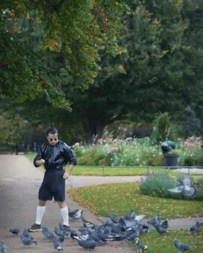 Saltbae Feeds Pigeons in the Park
