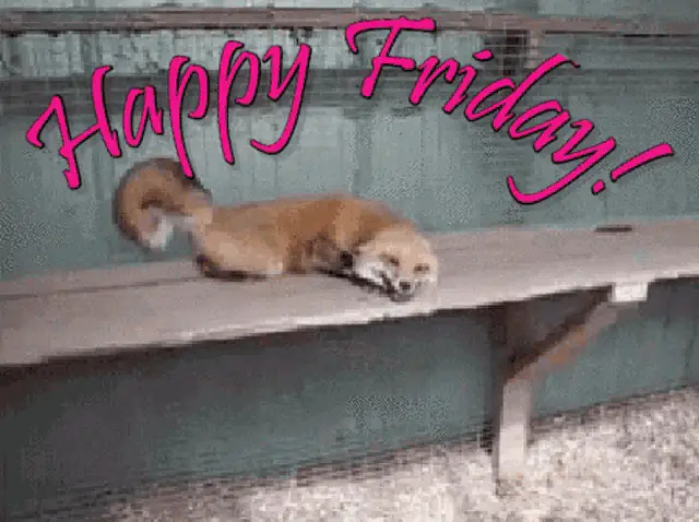 Happy Friday Friyay Fox – free GIF download | memes GIF | meme platform