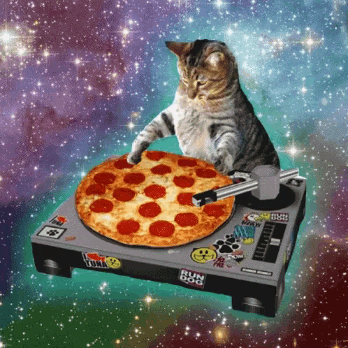 DJ Cat with Pizza Turntable