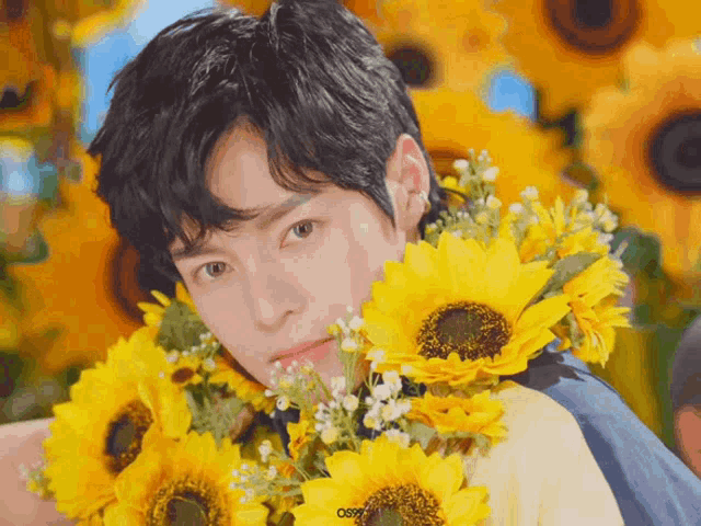 Ciipher Hwi Surrounded by Sunflowers