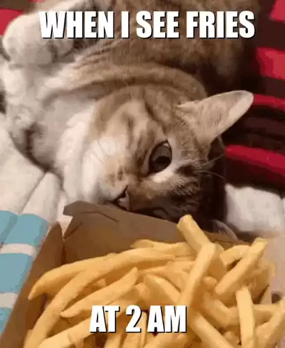 Cat's Fries Attitude at 2 AM