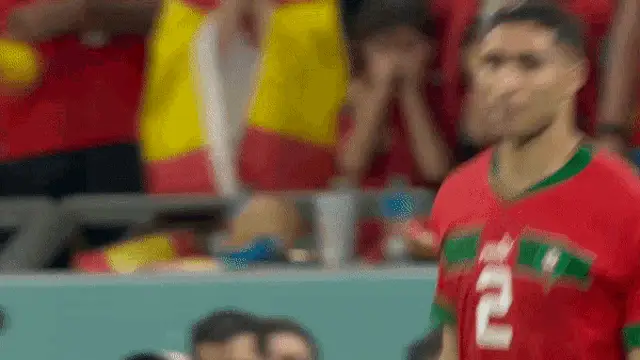 Hakimi's World Cup Celebration