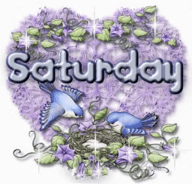 Glittery Saturday Birds & Flowers