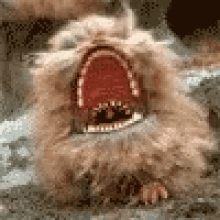 GIF uploaded by May