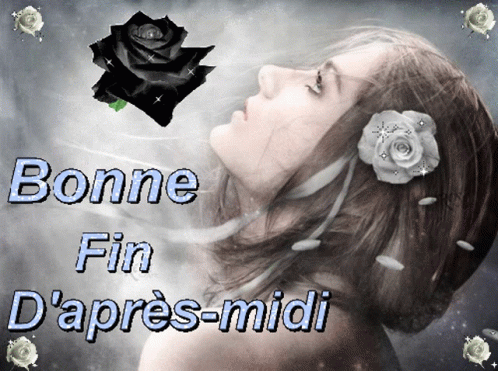 Bonne fin d'après-midi, bonne soirée