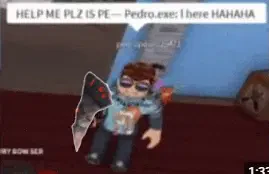Pedro Meme