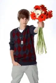 Justin Bieber Flowers Meme