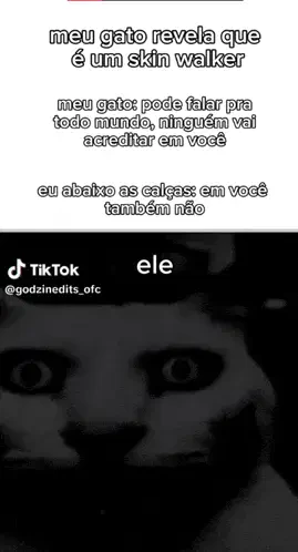 Gato Sinistro Meme