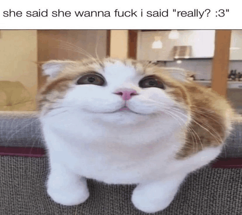 Twist Meme