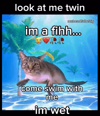Fihh Swim With Me Meme