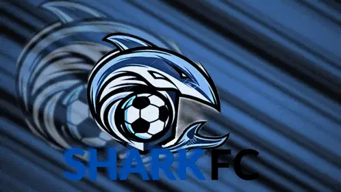 Shark Shark Fc Meme