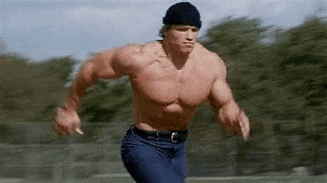 Arnold Schwarzenegger Meme