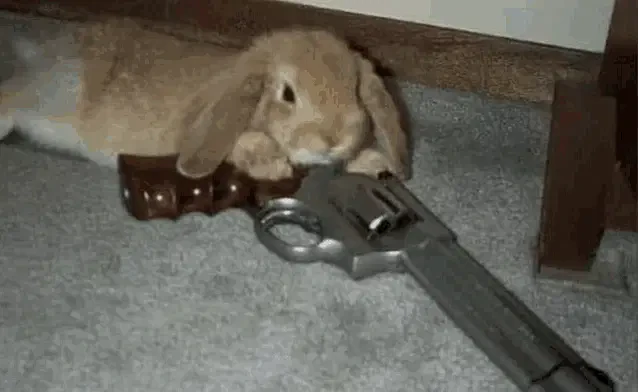 Bunny Criminal Meme