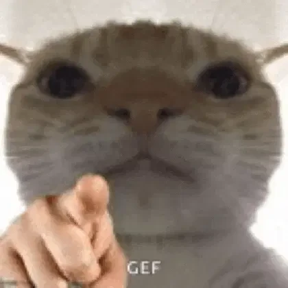 Ponty Meme